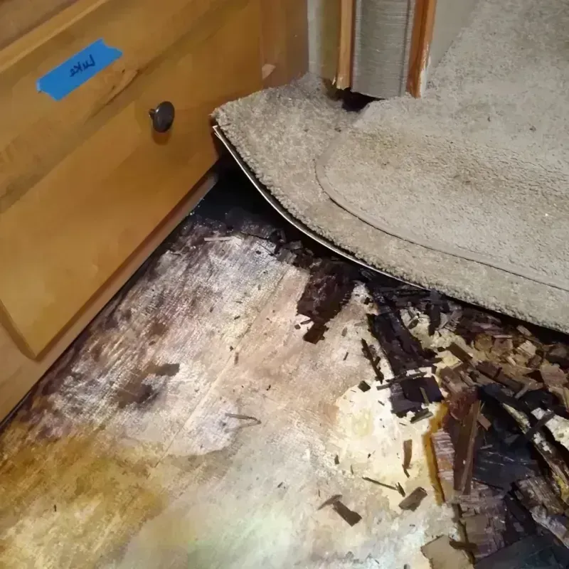 Best Wood Floor Water Damage Service in Wadsworth, OH